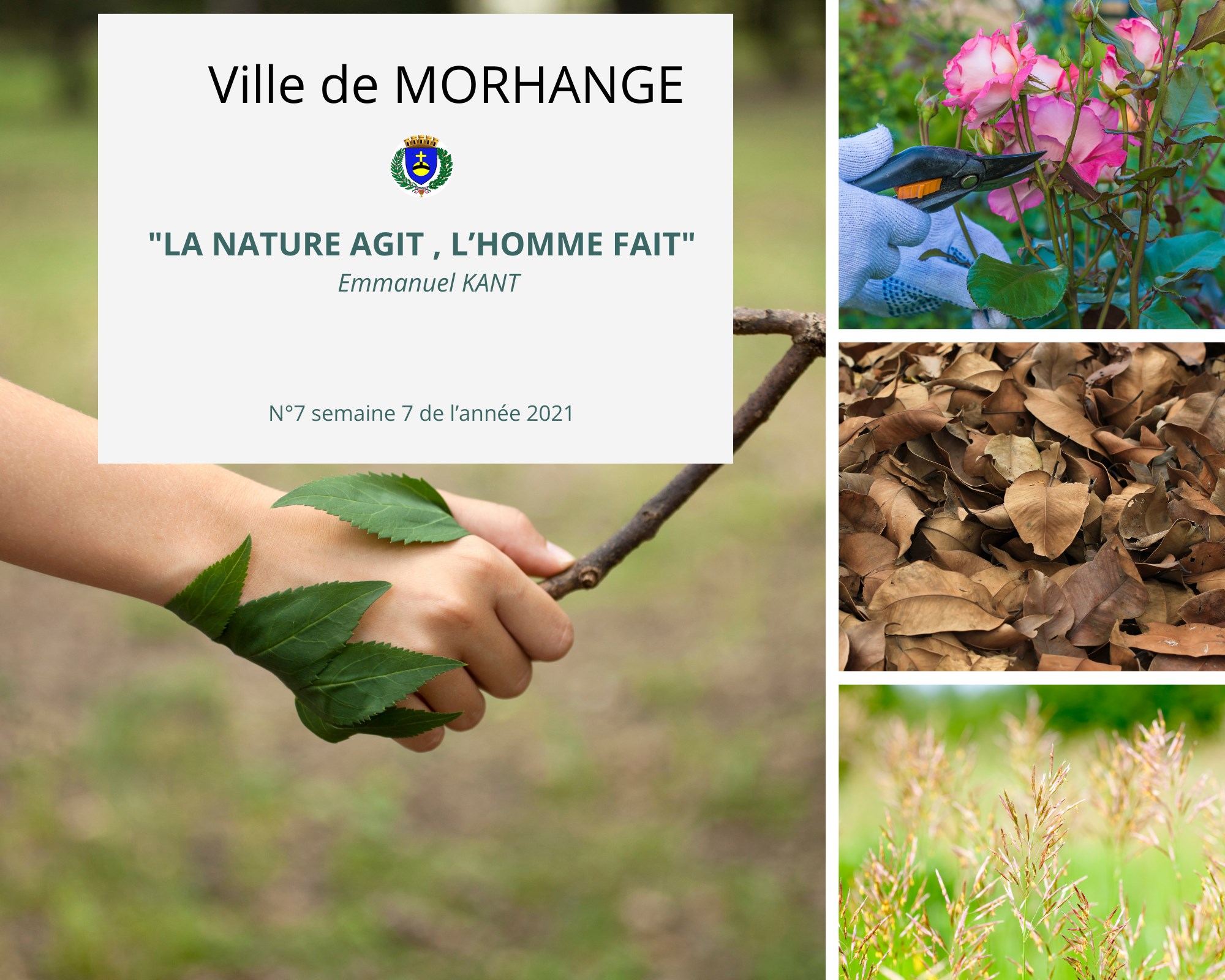 La nature agit, l'homme fait - Semaine 7